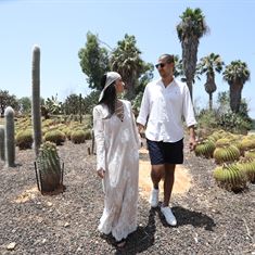 מא' ועד ת': הכלה שתכננה לבד את החתונה